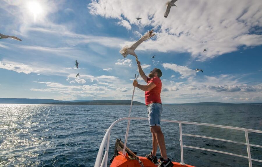 Krk: Golden Beach and Blue Cave Cruise with Welcome Drink - Plavnik Cave: the swim stop and what makes it worth it