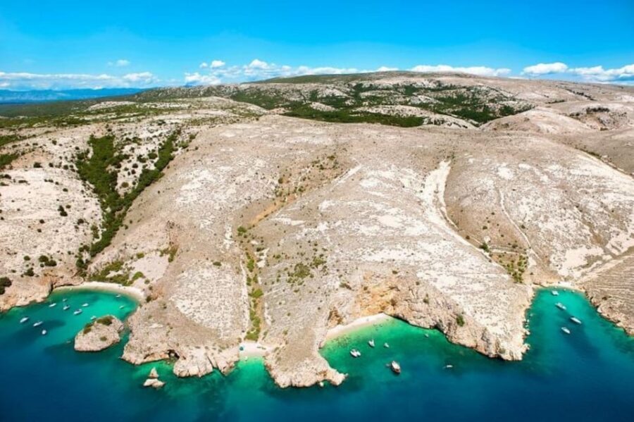 Krk: Swimming and Snorkeling tour on Golden Bay - The wildlife bonus: deer sightings and the fun side of surprises