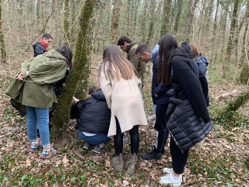 Livade: Guided Truffle Hunting Walking Tour - Key highlights to know before you go