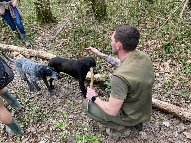 Livade: Guided Truffle Hunting Walking Tour - Nikola Tarandek and the dogs: how the hunt is actually run