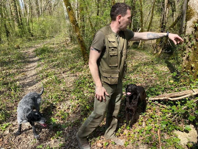Livade: Guided Truffle Hunting Walking Tour - Price and value: what $58 buys you (and what costs extra)