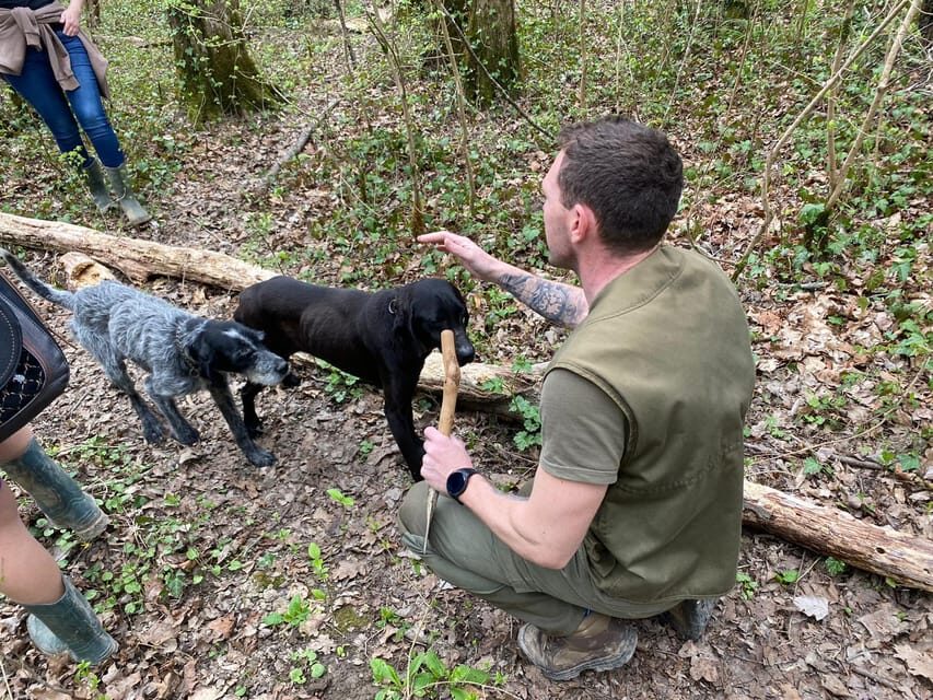 Livade: Guided Truffle Hunting Walking Tour - Practical tips so you enjoy the full 4 hours