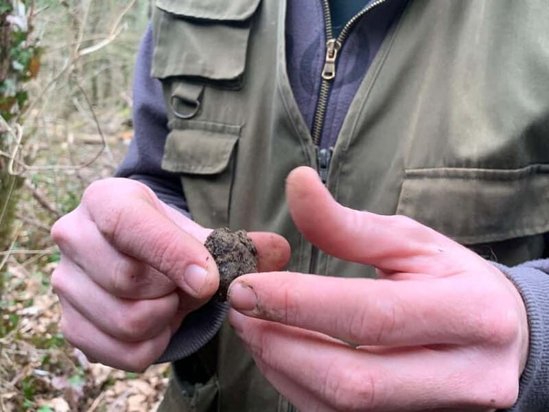 Livade: Guided Truffle Hunting Walking Tour - Getting started in Livade near the Parenzana museum