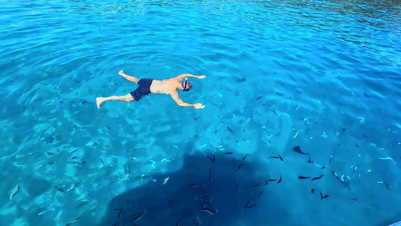 Makarska: 3-island Speedboat Cave & Blue Lagoon Tour - The 5-hour schedule from 8:00am or 1:30pm
