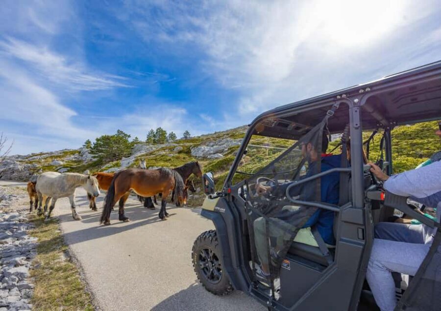 Makarska: Baggy Skywalk & Biokovo Viewpoint Tour - Pickup around Makarska and the “mountain pace” of the day