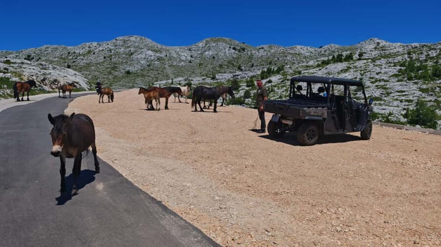 Makarska: Baggy Skywalk & Biokovo Viewpoint Tour - Sinjal Peak: the top stop with Dalmatian food and real scenery