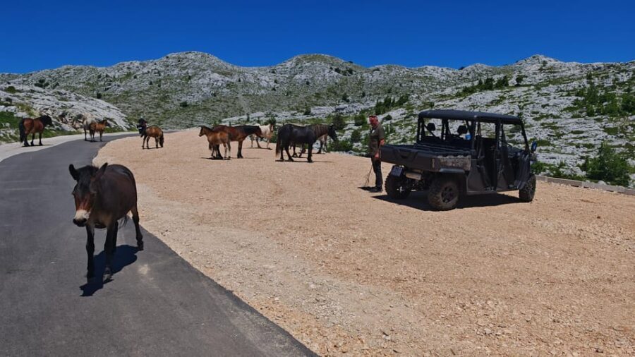 Makarska: Baggy Skywalk & Biokovo Viewpoint Tour - The extra viewpoint walk: short, scenic, and worth planning for