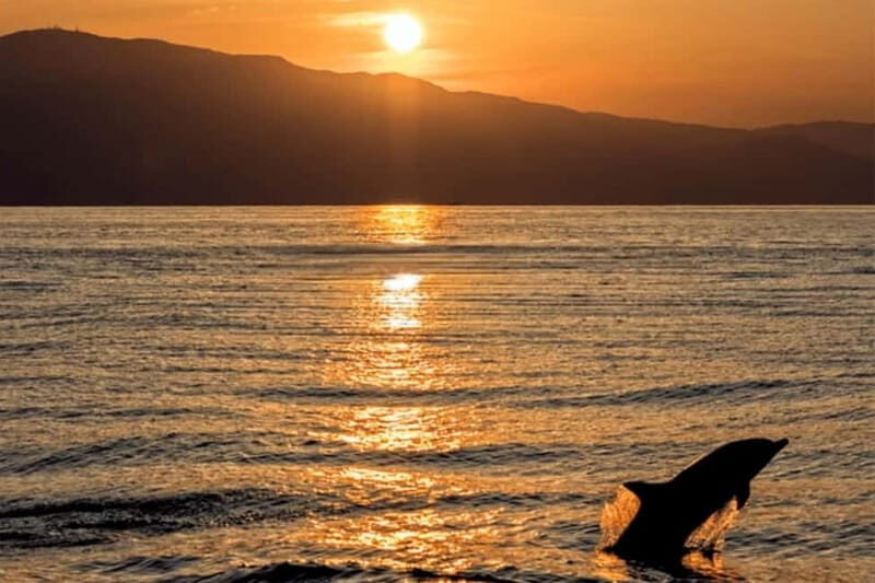 Medulin: Dolphin Sunset Tour 85% chance with Drinks + Dinner - The route: Cape Kamenjak viewpoints and a classic lighthouse moment