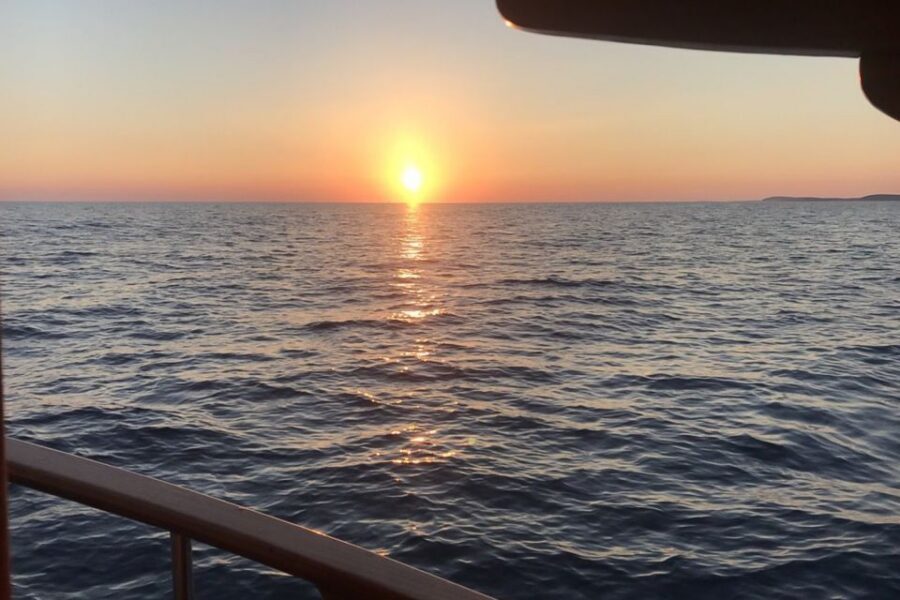 Medulin: Dolphin Sunset Tour 85% chance with Drinks + Dinner - Comfort and onboard setup: shade, toilet, Wi‑Fi, and pets