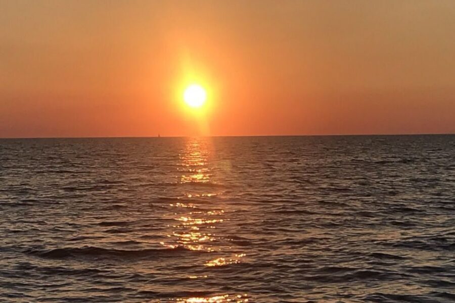 Medulin: Dolphin Sunset Tour 85% chance with Drinks + Dinner - Price and value: is $53 per person a fair deal?