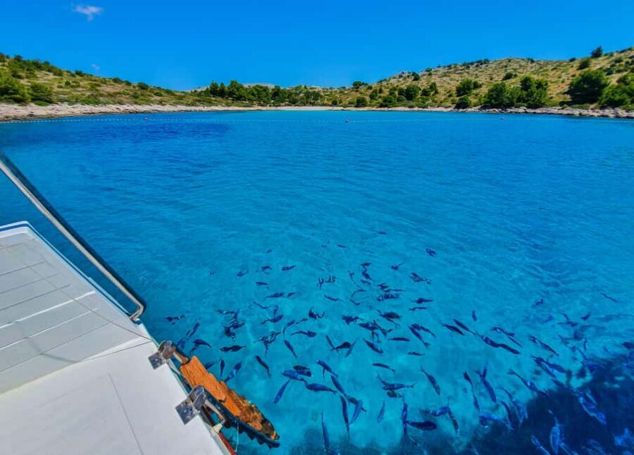 Mikado Kornati Excursion with snorkeling and hiking stops - Kornati National Park walking segment: a short hike without overcommitting