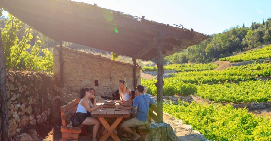Pelješac Full-Day Wine and Food Tour from Dubrovnik - Ston walls and salt works: history you can actually see
