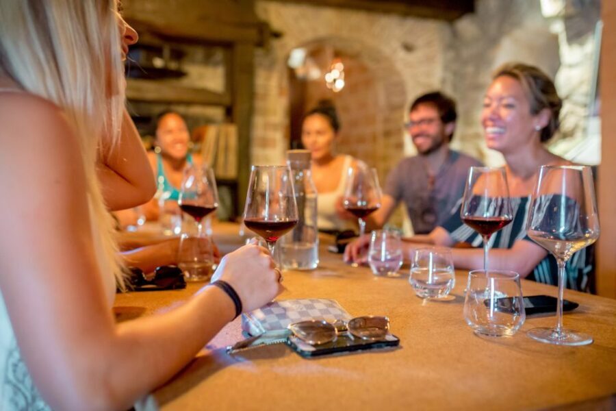 Pelješac Full-Day Wine and Food Tour from Dubrovnik - Pelješac vineyards and three family wineries: learning that doesn’t feel like school