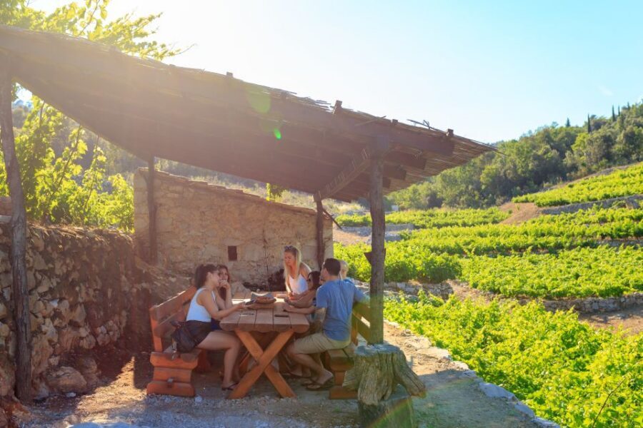 Pelješac Full-Day Wine and Food Tour from Dubrovnik - The oyster farm stop: why fresh-from-the-sea tastes different