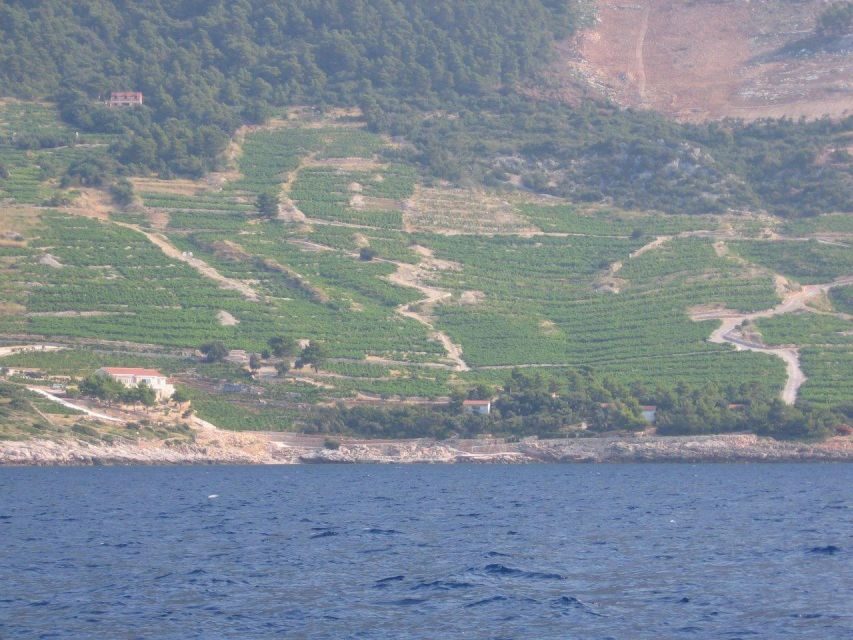Peljesac Peninsula & Korcula Island Day-Trip from Dubrovnik - Potomje winery tasting: wine, brandy, and what the expert adds