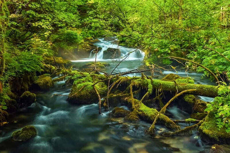 Plitvice Lakes: Guided Walking Tour with Bus and Boat Ride - The Tour Rhythm: Photo Stops, Breaks, and Why the Timing Helps