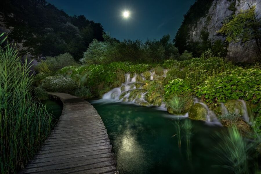 Plitvice Lakes Private Guided Tour - Lower Lakes route: canyon walks, electric boat time, and big viewpoints