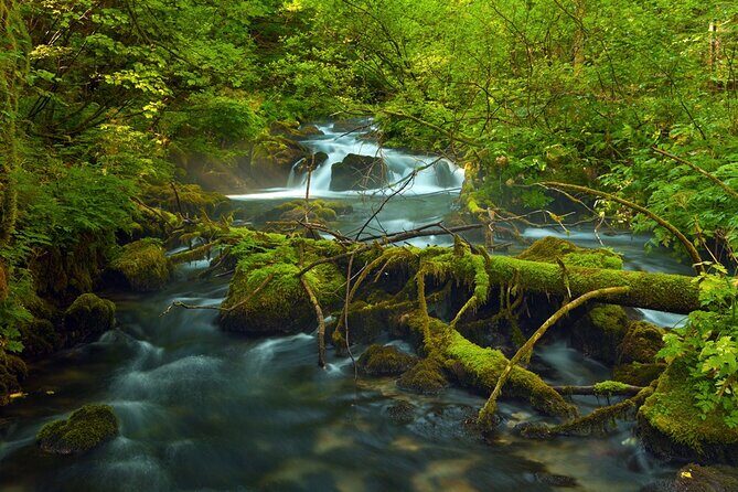 Plitvice Lakes Private Guided Walking Tour - The circular route: what you will do inside the park