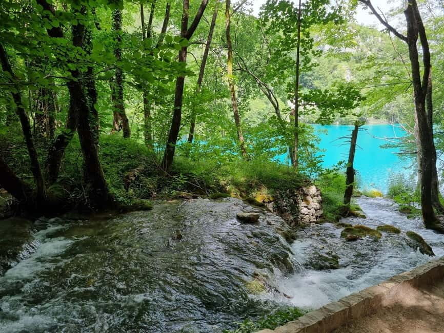 Plitvice: Plitvice Lakes Guided Tour with Boat Ride - The guide factor: geology, wildlife, and local tips that save time