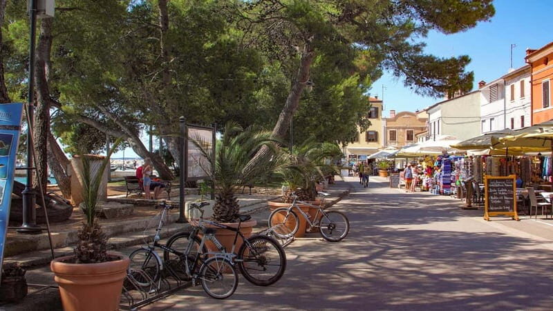 Pula: All-Inclusive Brijuni Boat Tour w Lunch, Drinks & Swim - Weather and itinerary changes: how to stay relaxed when the sea disagrees
