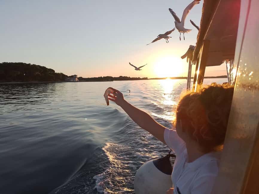 Pula: Brijuni Dolphins Sunset Cruise with Dinner and Drinks - Dolphin watching at dusk: how to make it count