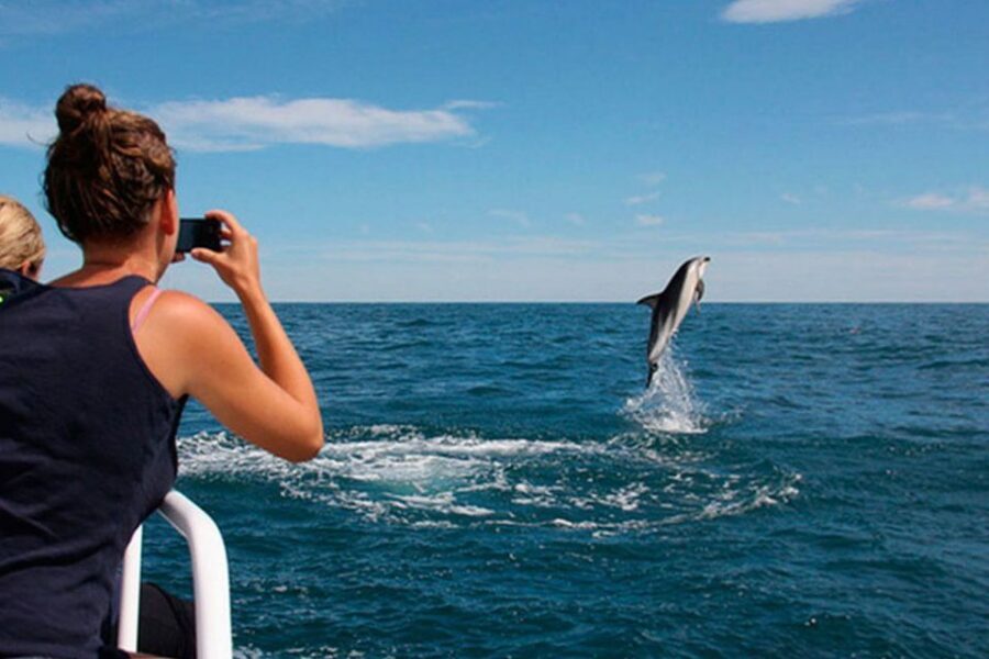 Pula: Brijuni Islands Dolphin Watching & Wildlife Cruise - Key things to know before you go