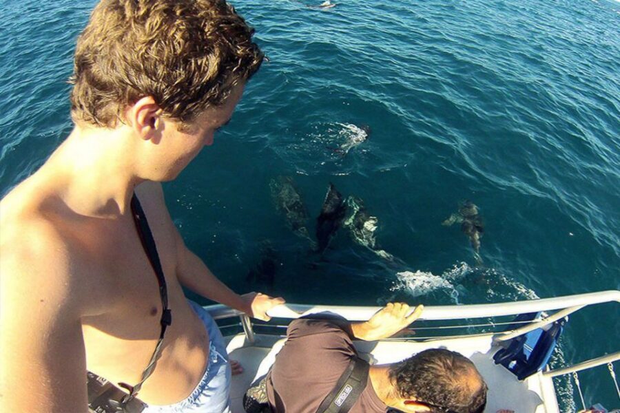 Pula: Brijuni Islands Dolphin Watching & Wildlife Cruise - Service, guides, and the little extras that matter