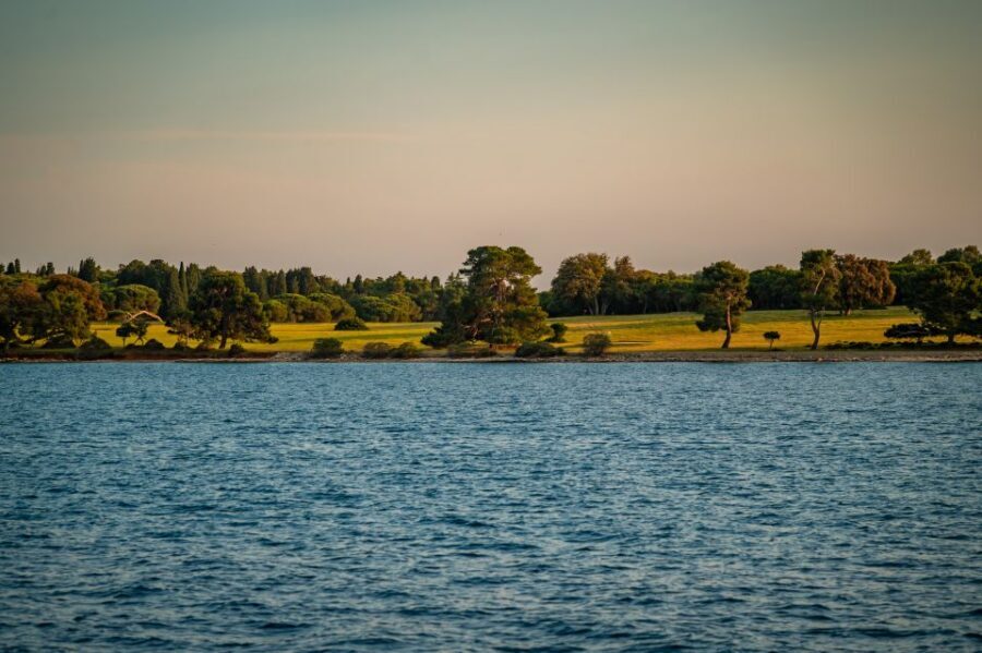 Pula: Brijuni National Park Sunset, Dolphins & Dinner Cruise - A 3-Hour Brijuni Sunset Cruise from Pula (What It Feels Like)