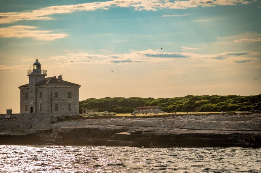 Pula: Brijuni National Park Sunset, Dolphins & Dinner Cruise - Should You Book This Brijuni Sunset Dolphins Dinner Cruise?