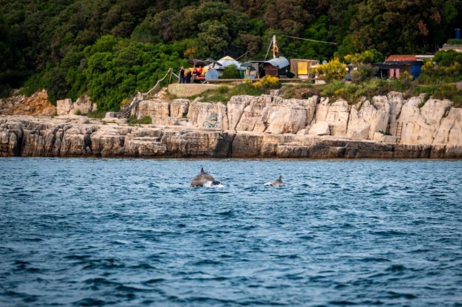 Pula: Brijuni National Park Sunset, Dolphins & Dinner Cruise - Cruising Past Pula Port Before Brijuni Islands National Park