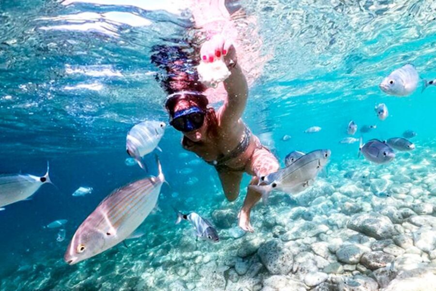Pula: Brijuni National Park Tour with Island Visit - Should you book this tour?