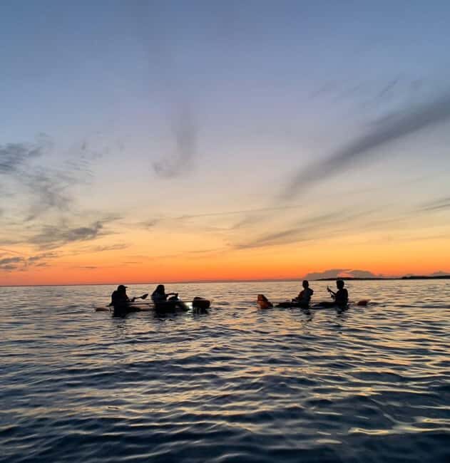 Pula: Cave Sunset/Night Tour in Transparent Kayak - The Sea Floor Through Clear Bottoms: How the LEDs Change Everything