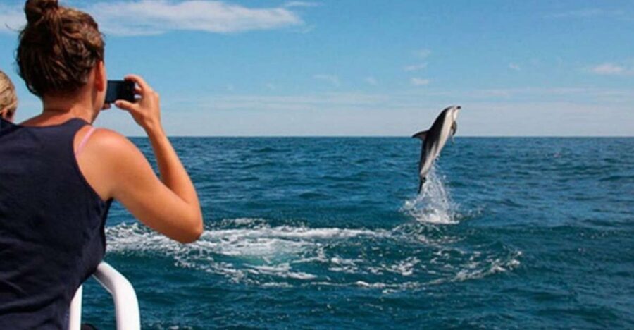 Pula: National Park Brijuni Island Visit & Dolphin Cruise - Key highlights worth your attention
