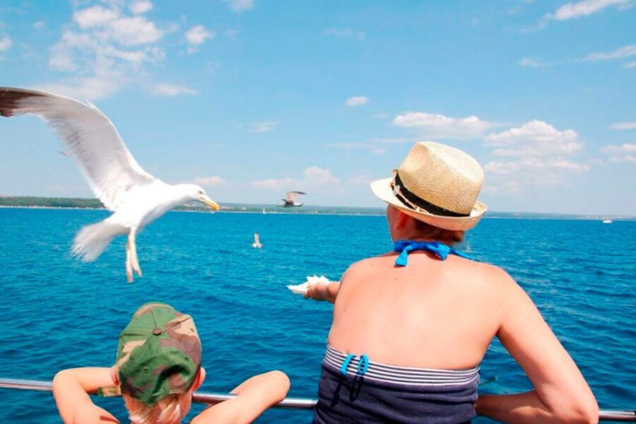 Pula: National Park Brijuni Island Visit & Dolphin Cruise - Practical tips that make the day smoother