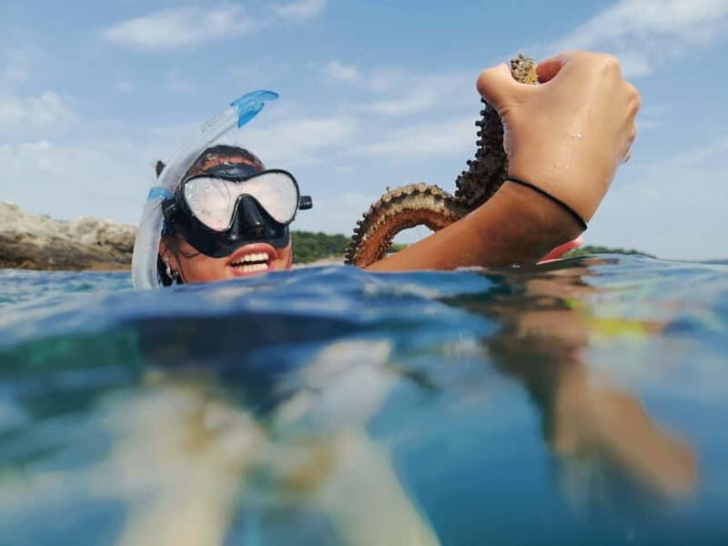Pula: Sea Adventure – Boat, Kayak, Snorkeling & Cliff Jumps - The speedboat hop to Muzil Peninsula: quick coast views and wildlife chances