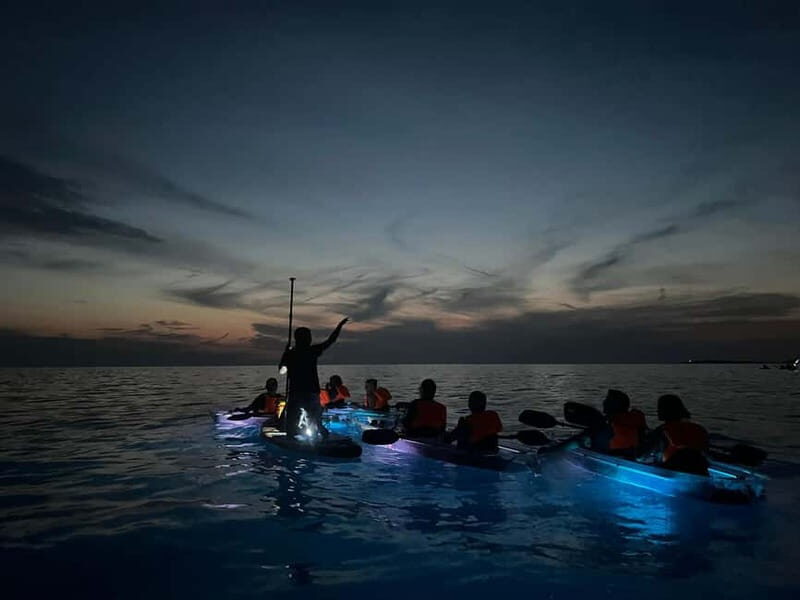 Pula: Sunset/Night Illuminated Transparent Kayak Tour - Key things you’ll notice on this Pula night kayak