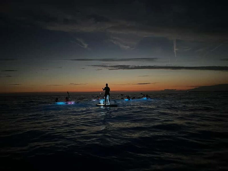 Pula: Sunset/Night Illuminated Transparent Kayak Tour - Marine life spotting: what you might see and how the guides handle it