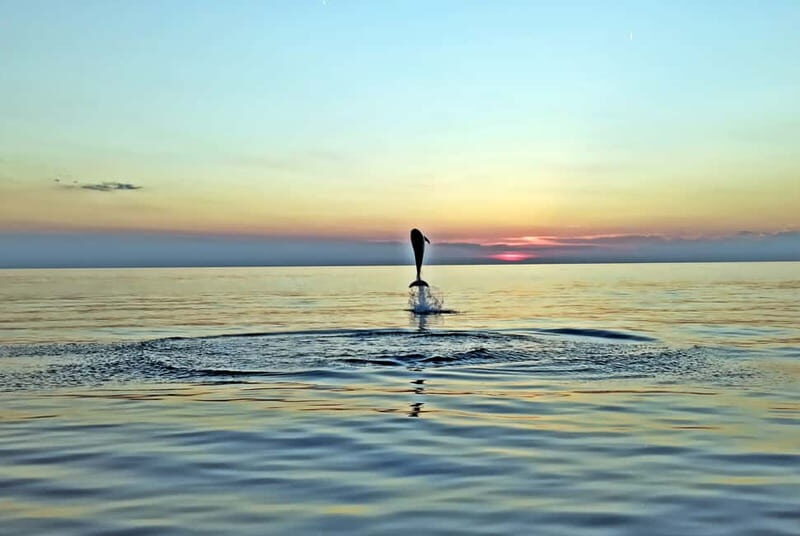 Rovinj: Dolphin Watching Sunset Speedboat Tour with Drinks - Key reasons this Rovinj dolphin sunset speedboat is worth your time