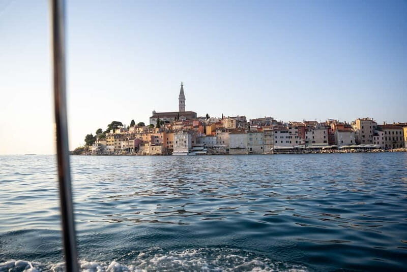 Rovinj: Dolphin Watching Sunset Speedboat Tour with Drinks - What to pack: jacket, comfort, and the small rules that matter