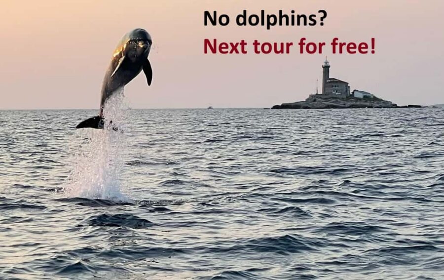 Rovinj: Dolphin Watching Sunset Speedboat Tour with Drinks - Price in context: what $74 per person really buys you