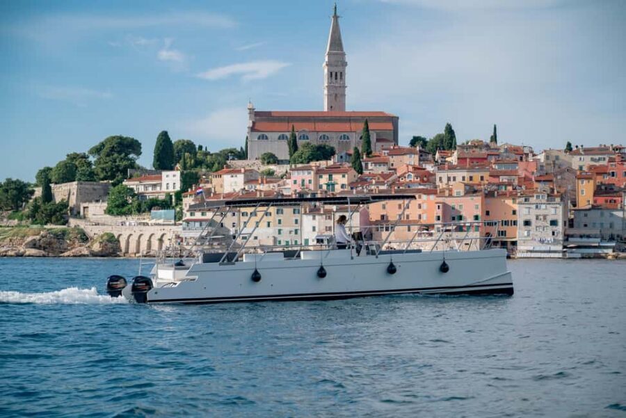 Rovinj: Sunset & dolphin group tours with Catamaran - Key things I’d highlight before you go
