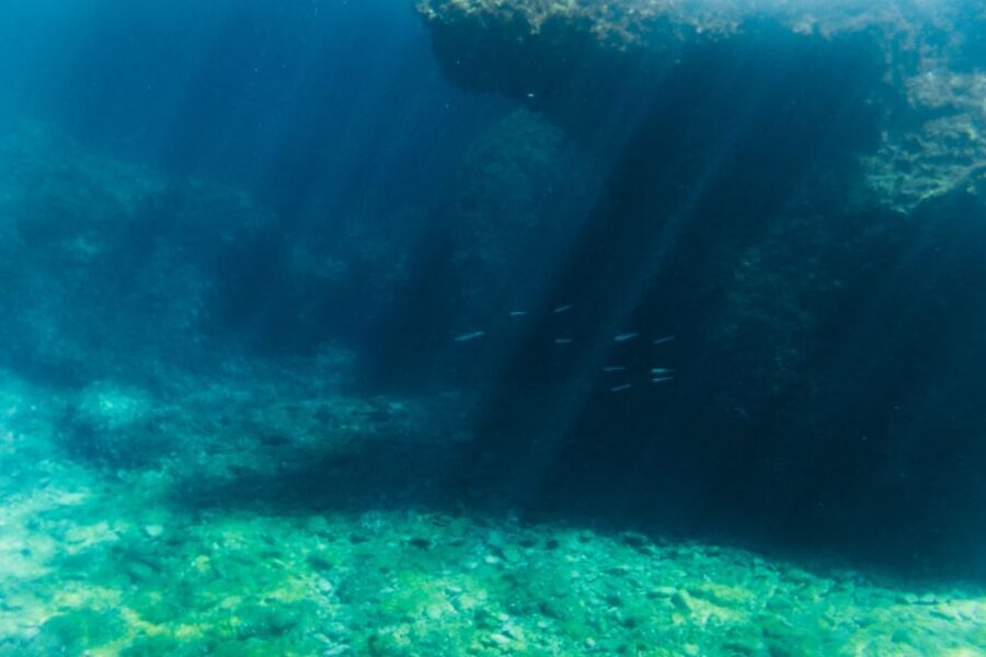 Split: 45-minute Semi-Submarine Trip - Who this tour fits best (and who should skip it)