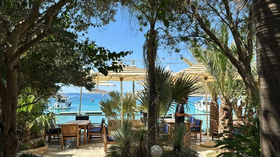 Split: Blue Lagoon, Hvar and 6 Islands Small Group Boat Tour - Pakleni Islands: swim time in the archipelago around Hvar