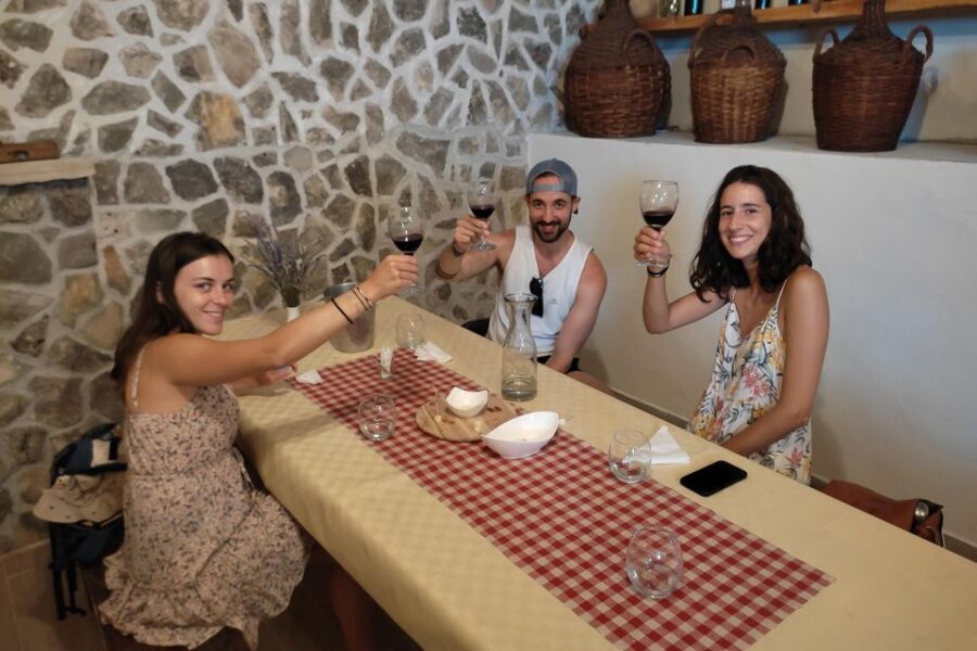 Split: Krka National Park Full-Day Tour with Wine Tasting - Skradin: photos, break time, and the swim option in warm weather