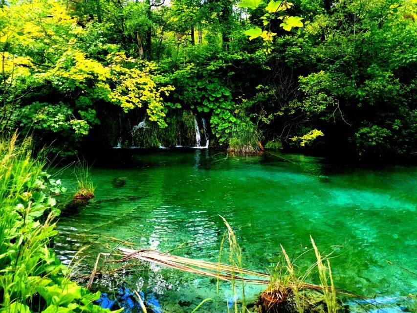 Split: Plitvice Lakes Guided Day Tour with Entry Tickets - Should you book this Plitvice Lakes guided day tour from Split?